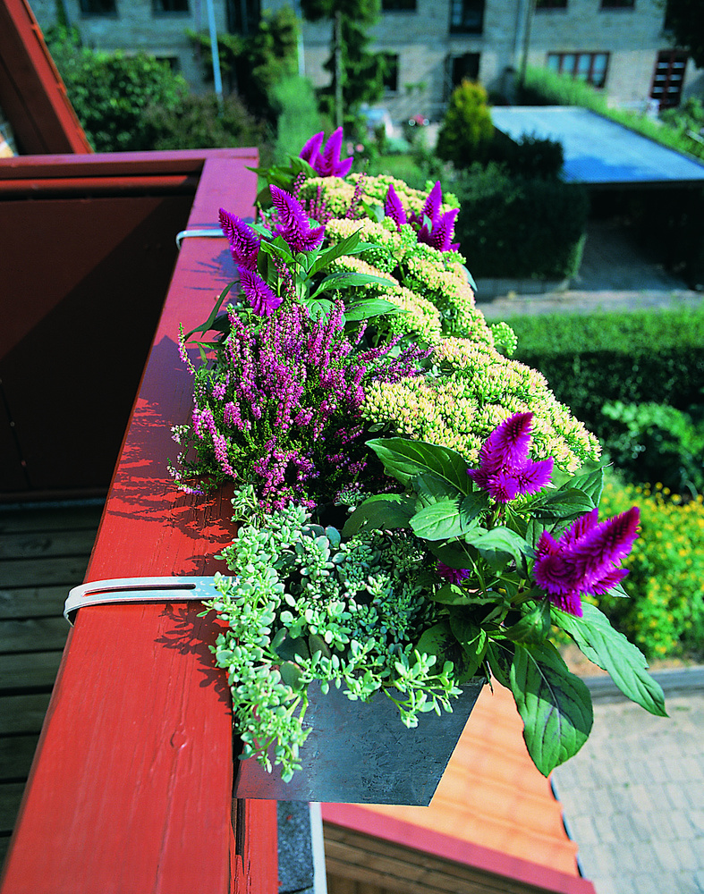 Altanen home & garden