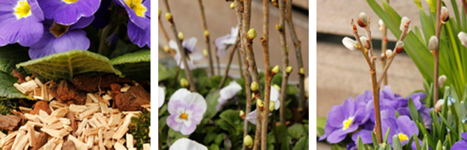 Forår i krukker og spande home & garden